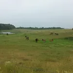 4 Star In Bagenkop